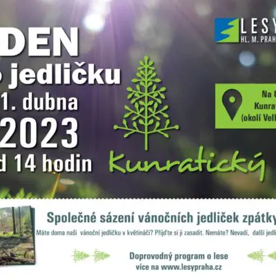 POZVÁNKA: Věnujte jedličkám budoucnost a vysaďte je s námi do lesa