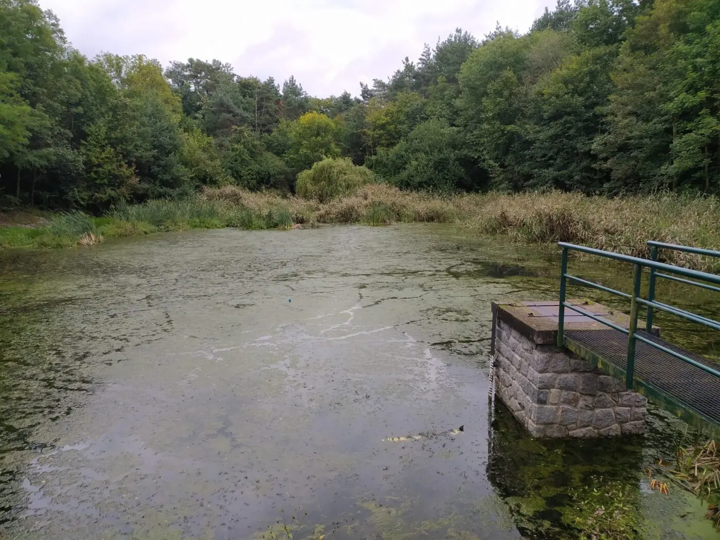 Před revitalizací potoka byla retenční nádrž Údolní zcela zanesena.
