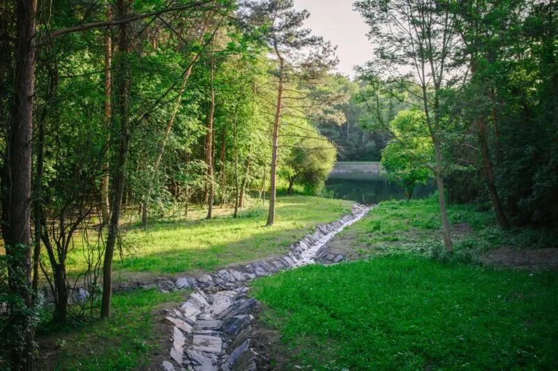 Královská obora Stromovka