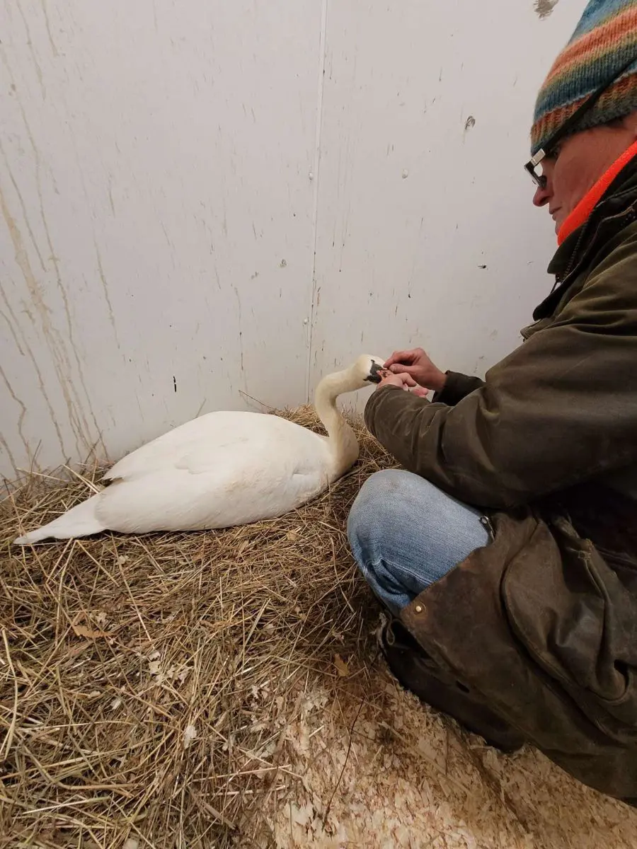 Při kontrole od naší veterinární lékařky