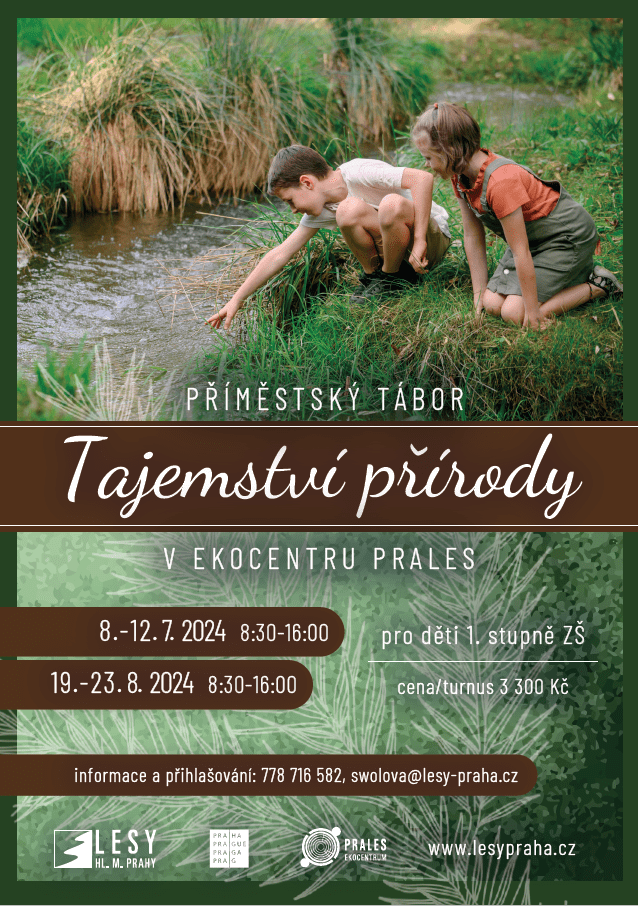 Letní příměstský tábor v Pralese: Objevujme společně tajemství přírody