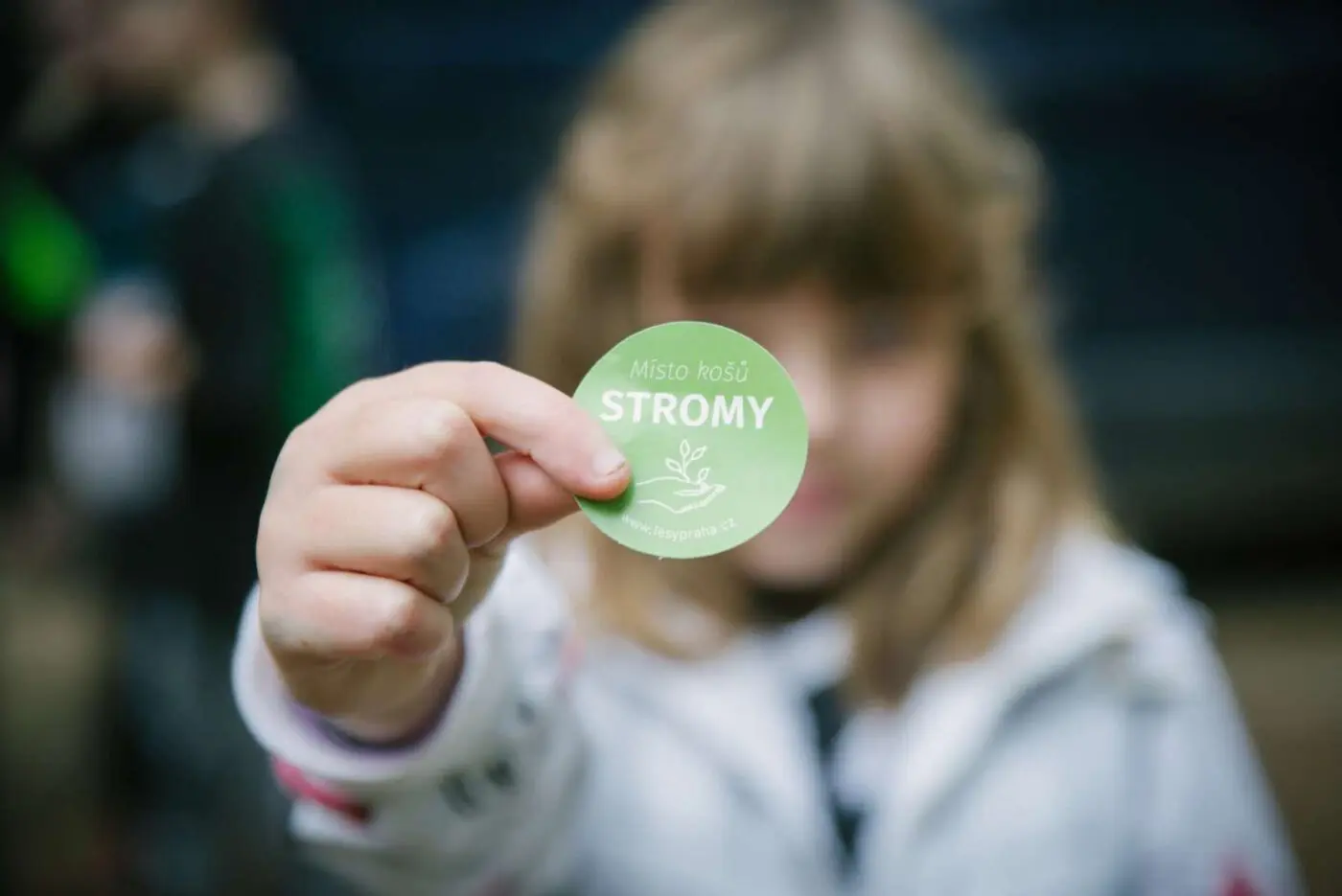 Sázíme raději místo košů stromy.