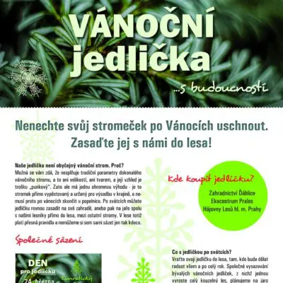 Netradiční, ale s budoucností. To jsou naše vánoční jedličky