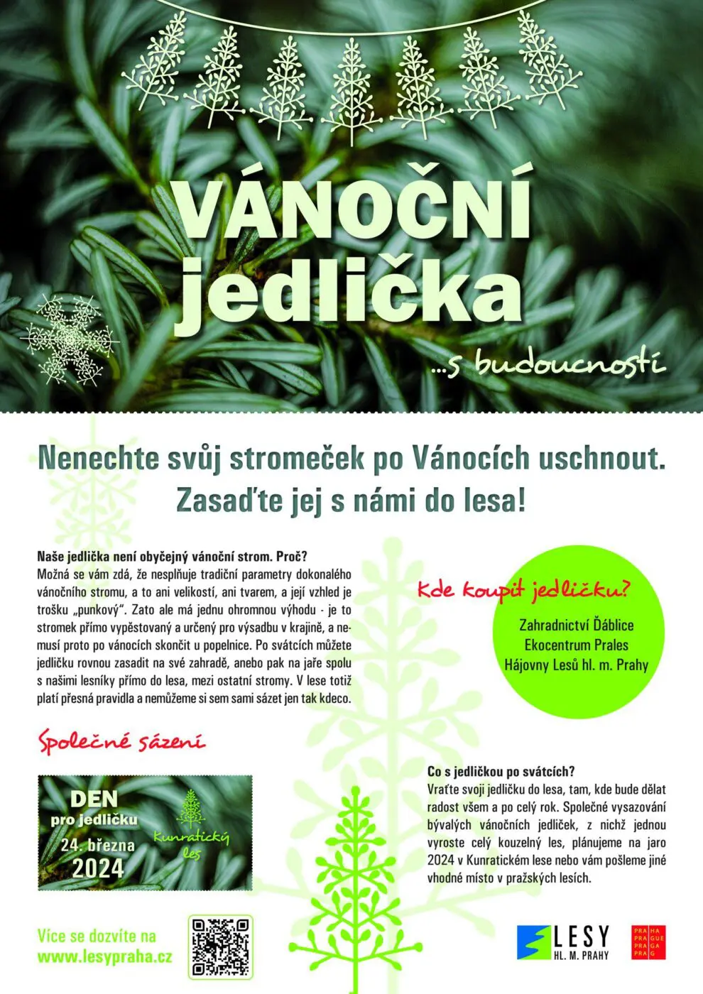 Netradiční, ale s budoucností. To jsou naše vánoční jedličky
