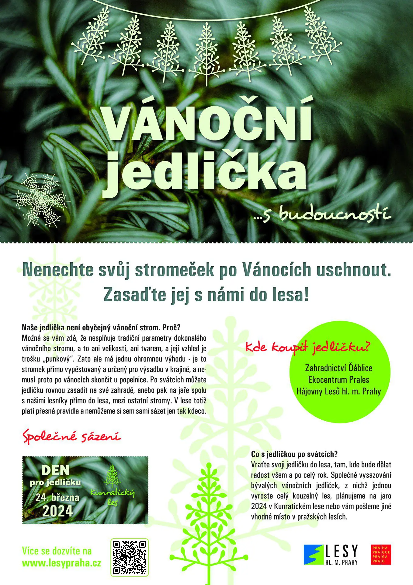 Netradiční, ale s budoucností. To jsou naše vánoční jedličky