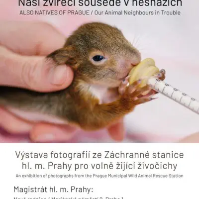 Výstavu Taky Pražané na podzim najdete v budovách Magistrátu hl. m. Prahy