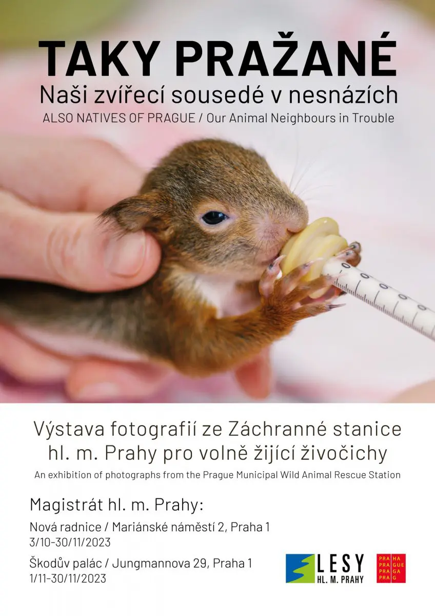 Výstavu Taky Pražané na podzim najdete v budovách Magistrátu hl. m. Prahy