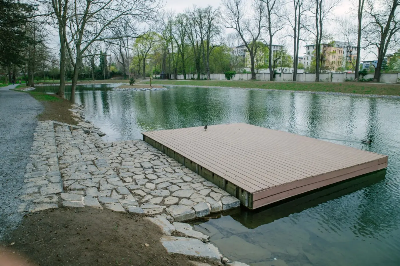 Revitalizace Zámeckého rybníka Praha-Čakovice