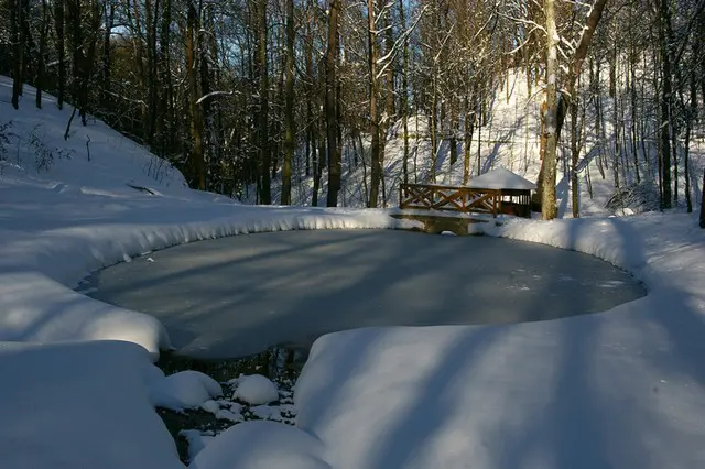 Obora Hvězda