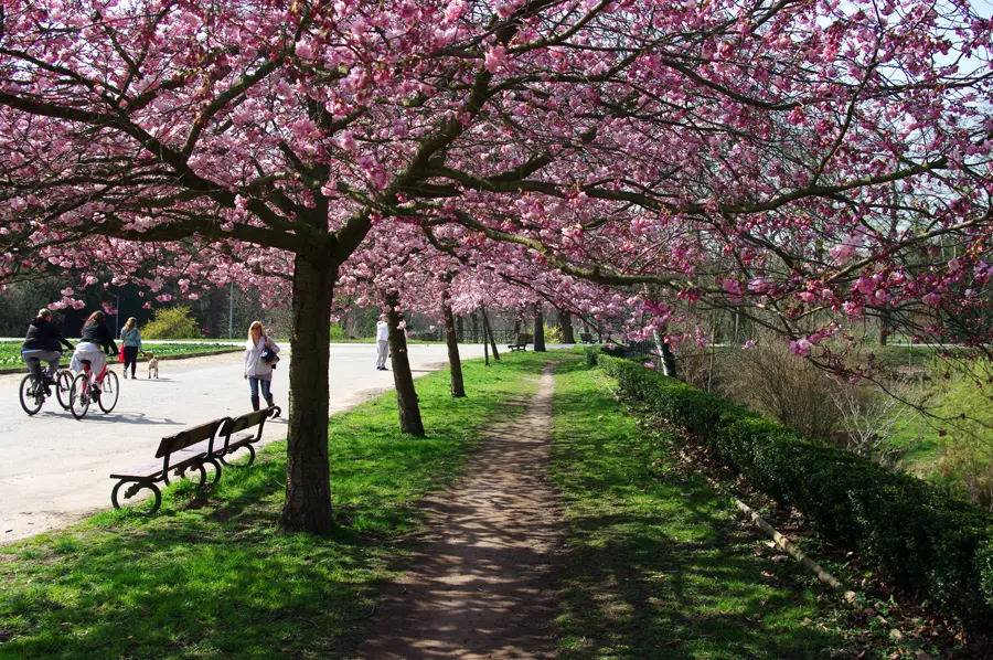 Promenáda před Šlechtovkou