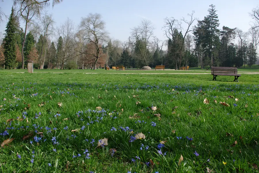 Starý park na jaře