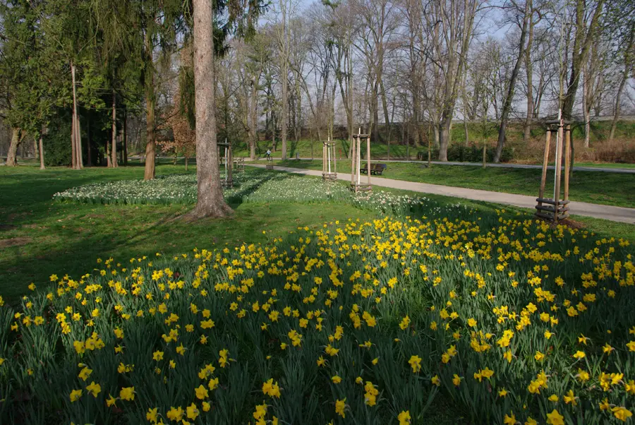 Starý park