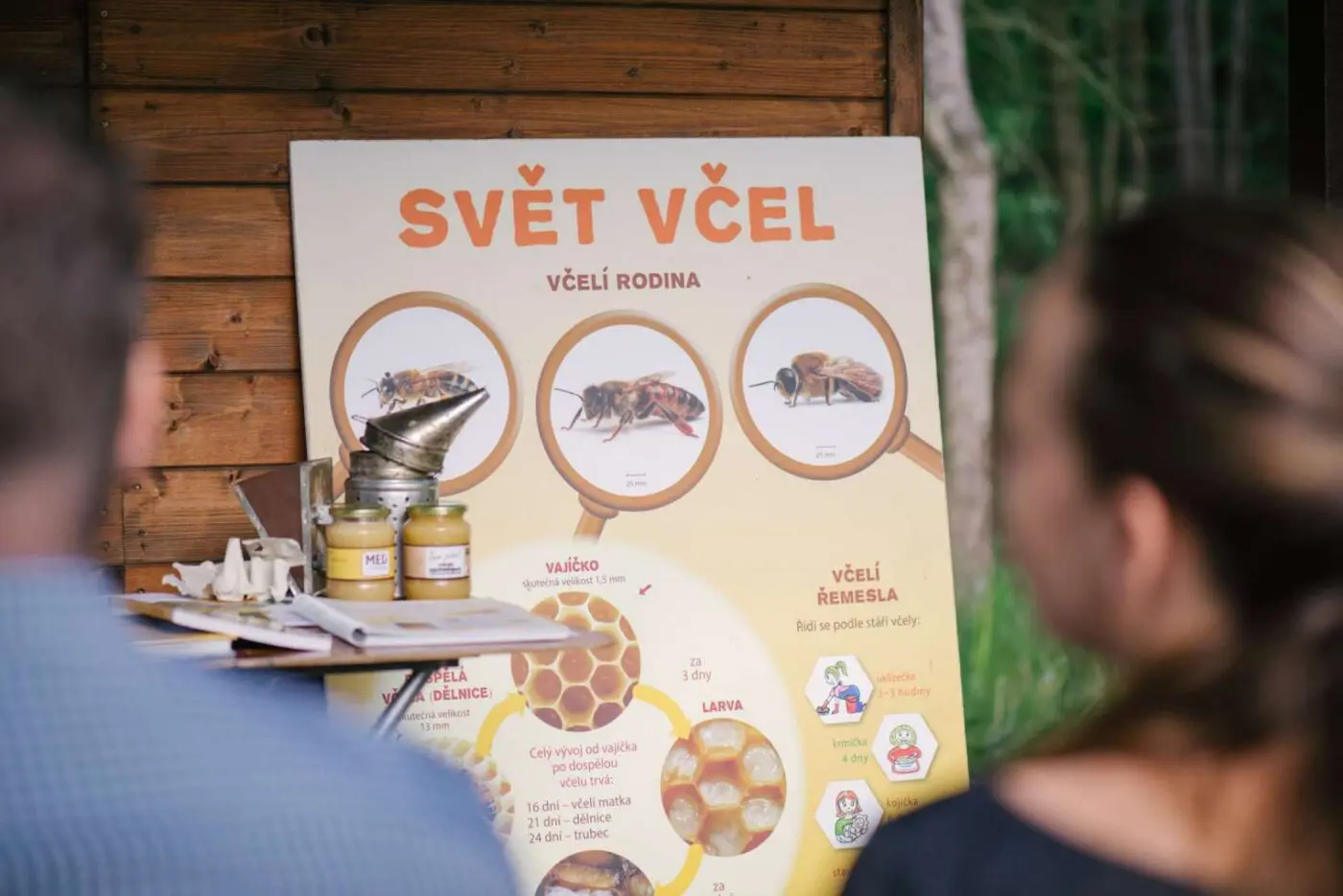 Včely