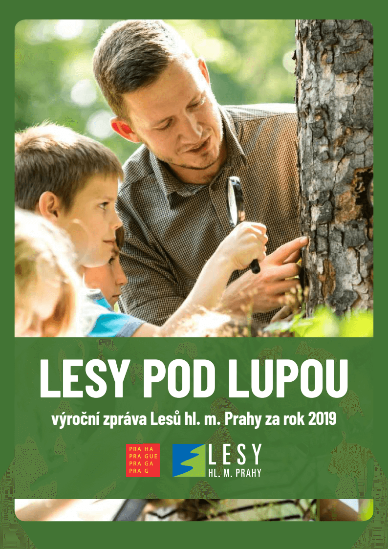 Výroční zpráva 2019