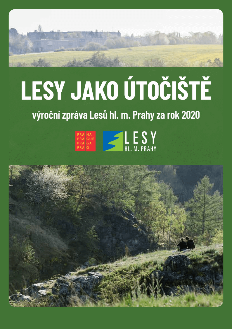 Výroční zpráva 2020