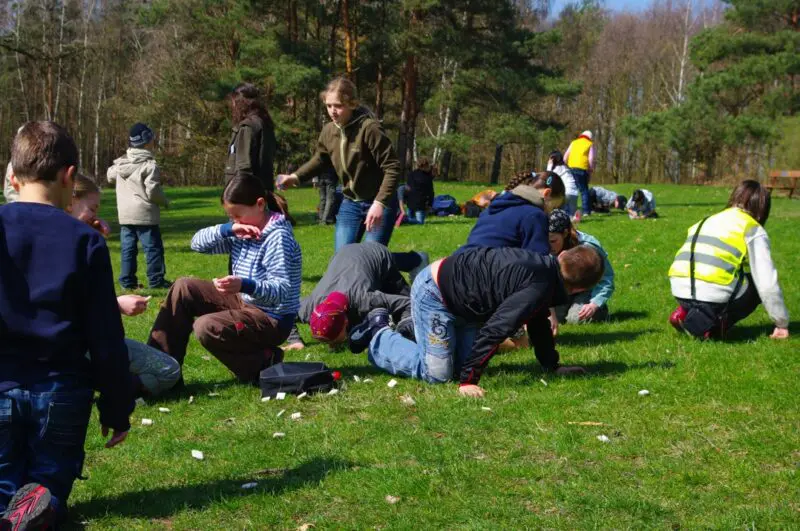 Lesní zvěř