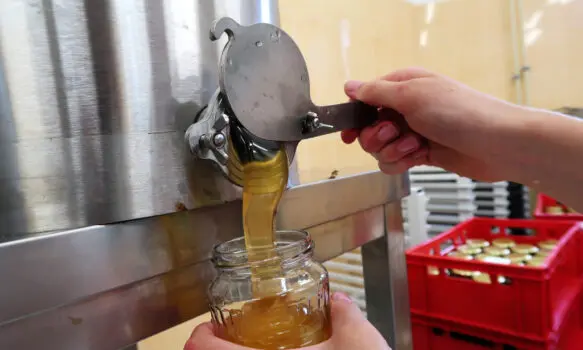 Jedu v medu v Národním zemědělském muzeu