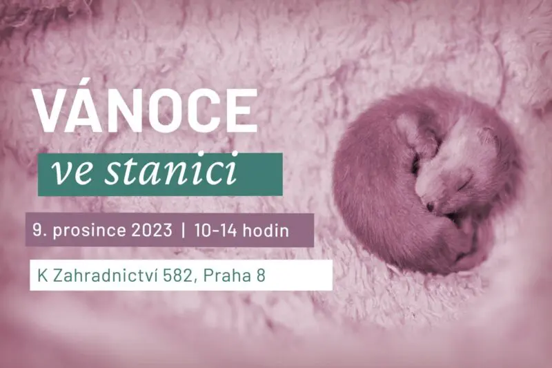 POZVÁNKA: Oslavte s námi Vánoce v záchranné stanici