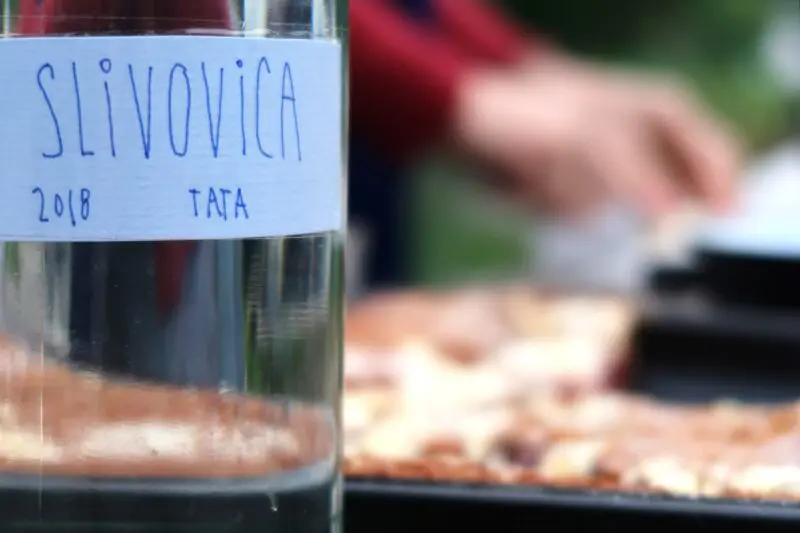 Kosení ve Stromovce vol. 6