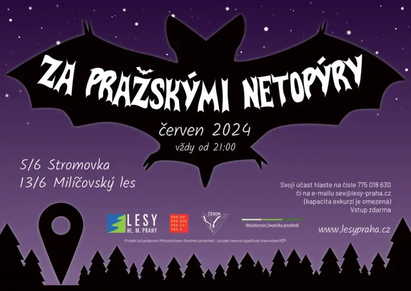 POZVÁNKA: Za netopýry do Stromovky a Milíčovského lesa. Pojďte s námi