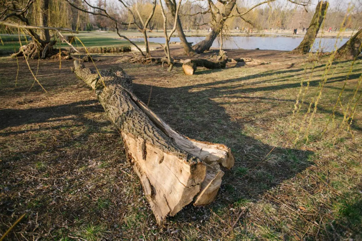 Na podmáčeném terénu může hrozit pád stromů. Dbejte zvýšené opatrnosti