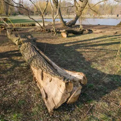 Na podmáčeném terénu může hrozit pád stromů. Dbejte zvýšené opatrnosti