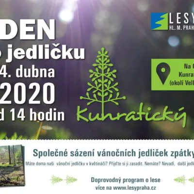POZVÁNKA: Věnujte jedličkám budoucnost a vysaďte je s námi do lesa