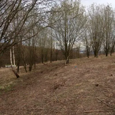 Revitalizace bývalé skládky ve Velké Chuchli pokračuje: Na jaře přibude 15 000 dřevin