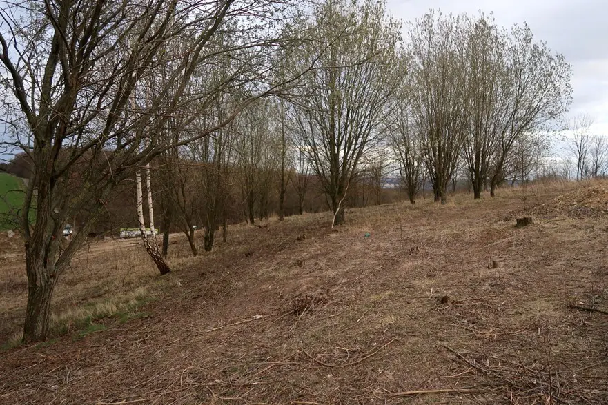 Revitalizace bývalé skládky ve Velké Chuchli pokračuje: Na jaře přibude 15 000 dřevin