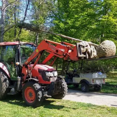 Do konce května ve Stromovce zasadíme 155 nových stromů