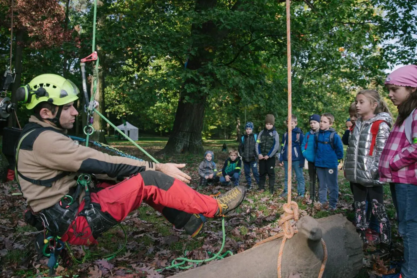 Svoje mistrovství vám předvedou arboristé.