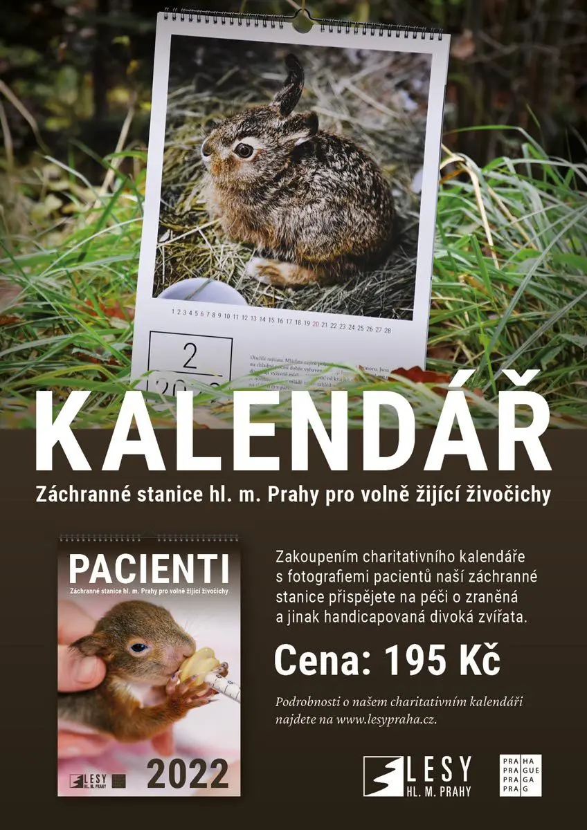 Kalendář Pacienti 2022