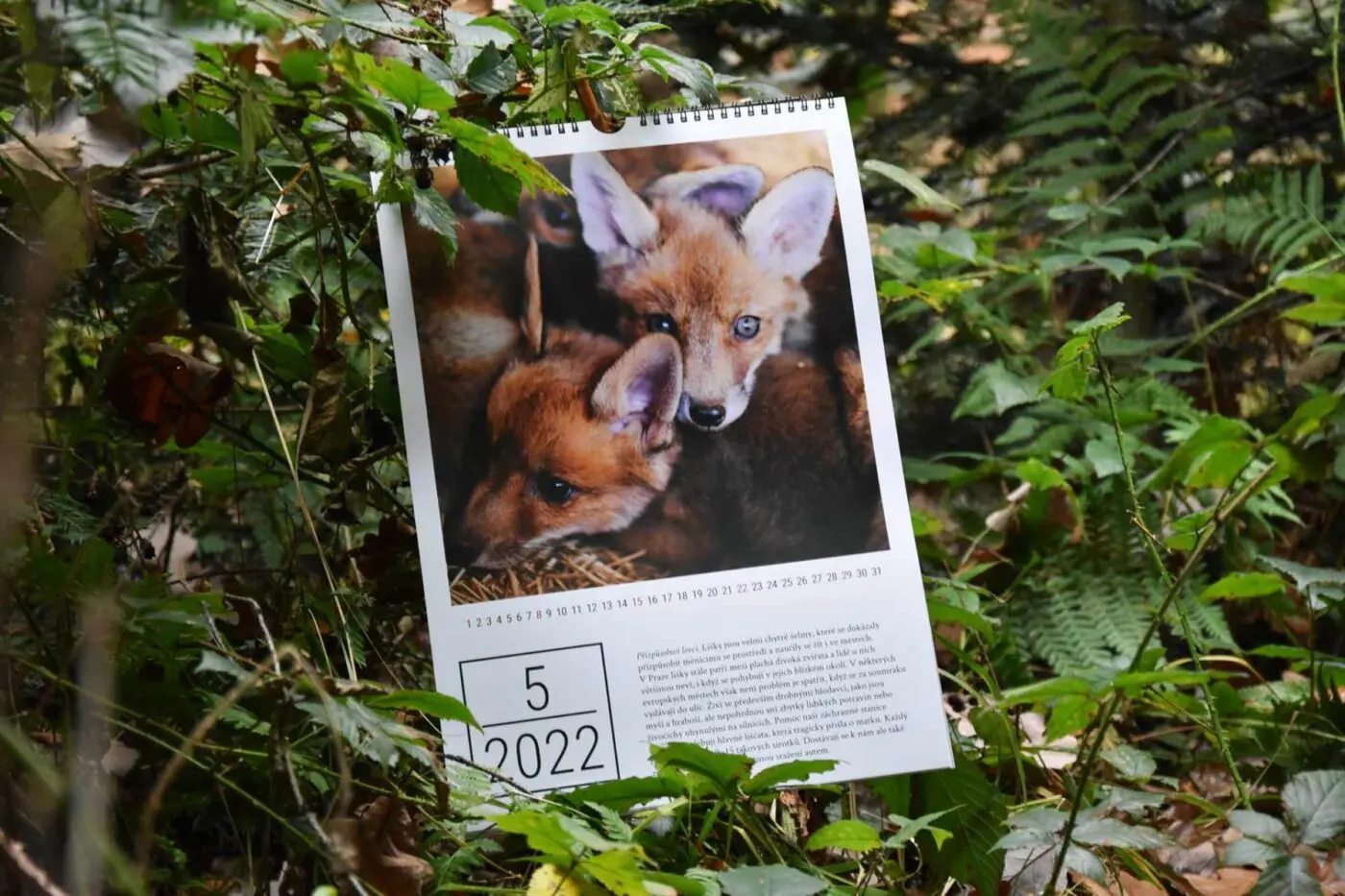 Kalendář Pacienti 2022