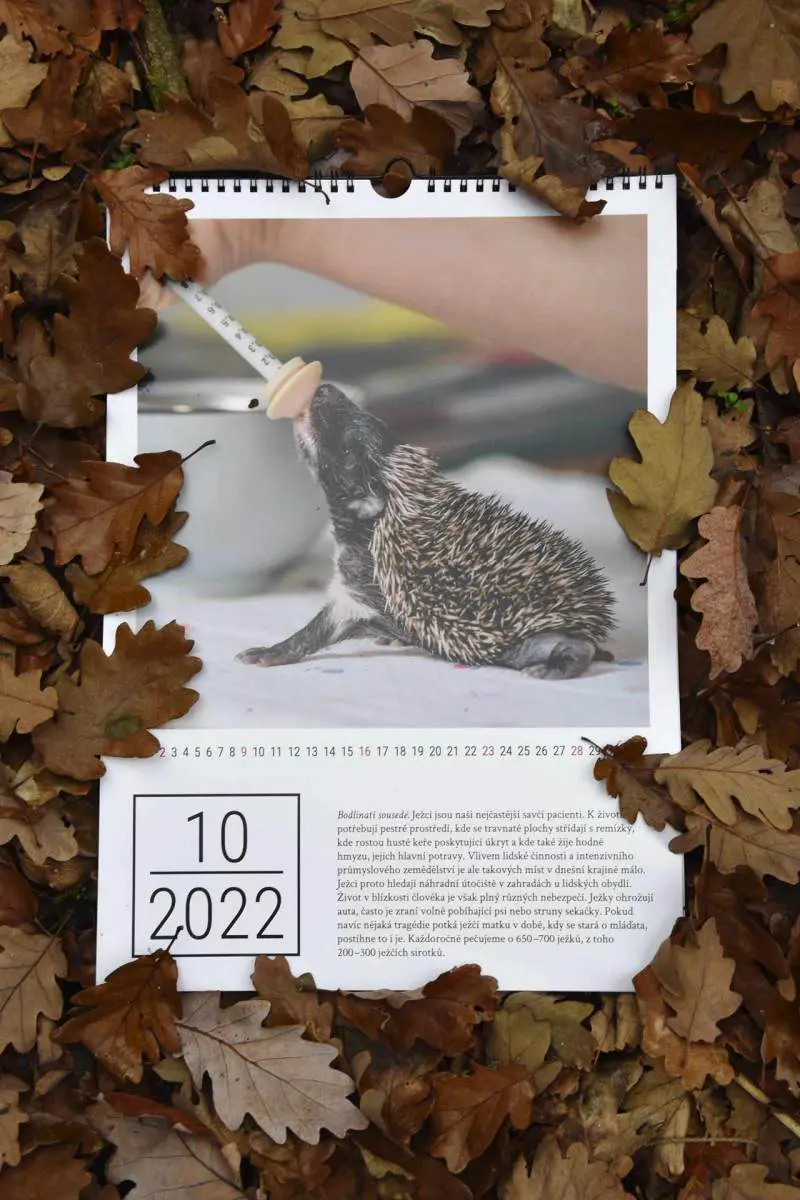 Kalendář Pacienti 2022