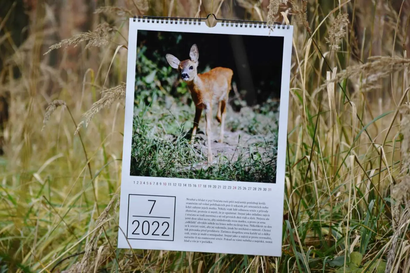 Kalendář Pacienti 2022