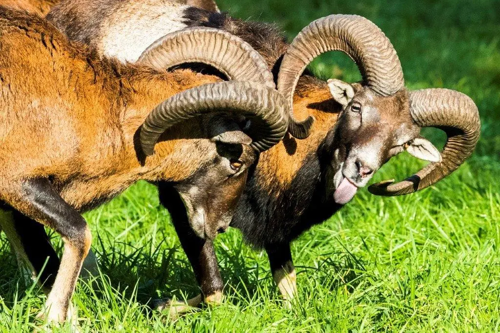 Dan Materna, 3. místo v kategorii Příroda v Praze