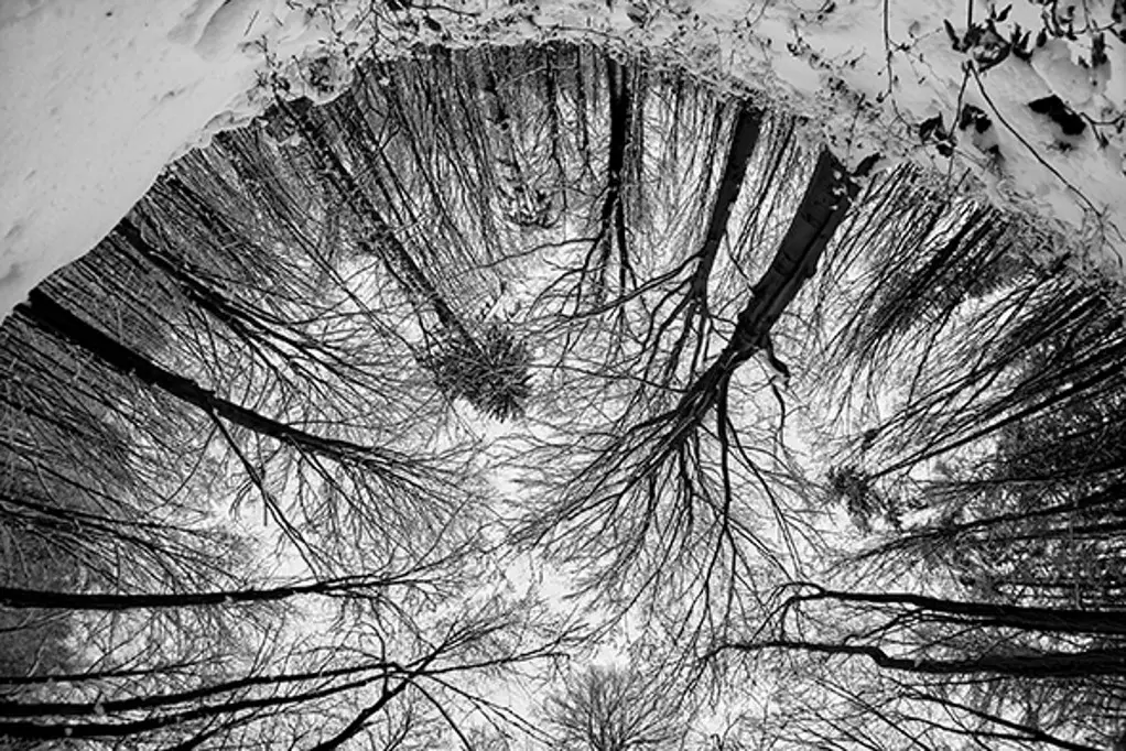 Soutěžní fotografie z předchozích ročníků, autor: Marek Tihelka