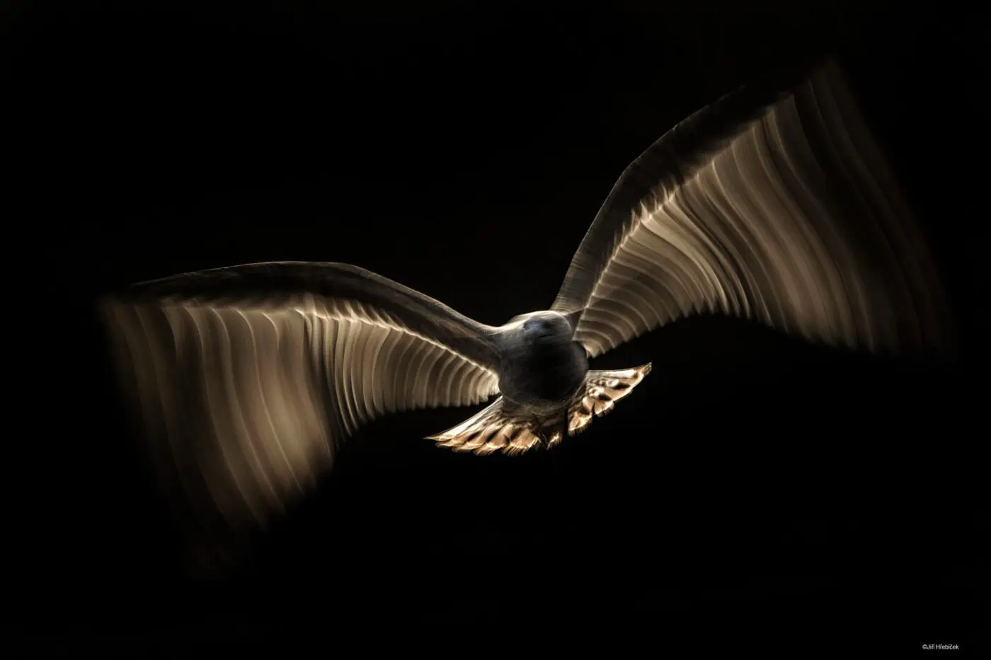 Soutěžní fotografie z předchozích ročníků, autor: Jiří Hřebíček