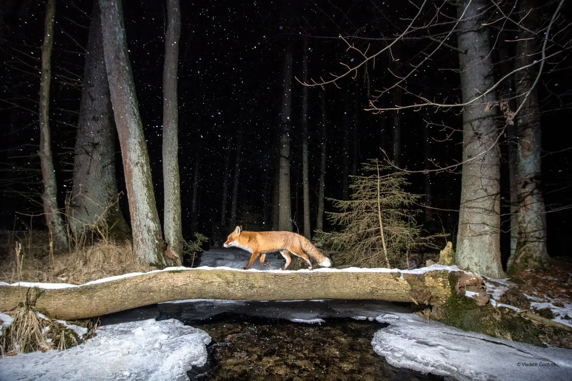 Soutěžní fotografie z předchozích ročníků, autor: Vladimír Čech ml.