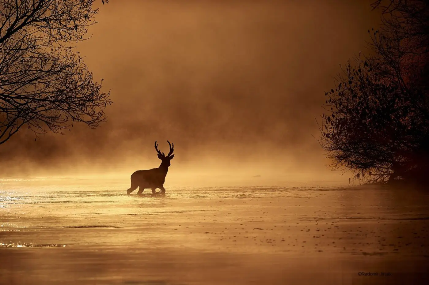 Soutěžní fotografie z předchozích ročníků, autor: Radomír Jirsák