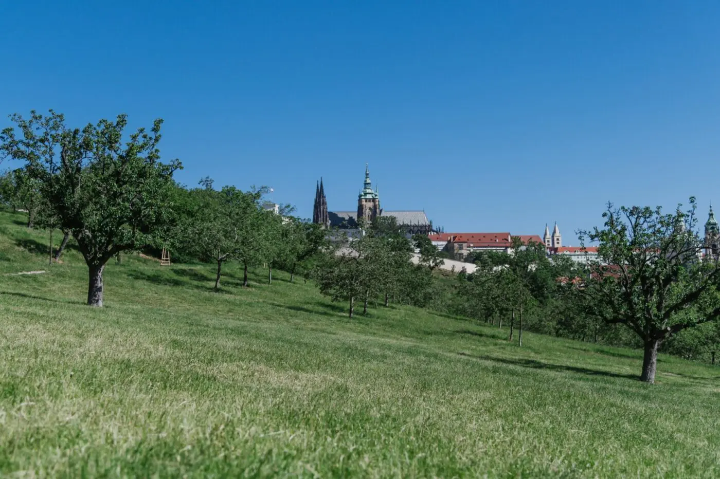 Den parků – komentované vycházky do Stromovky, na Petřín a do Kunratického lesa