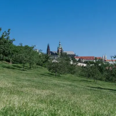 Den parků – komentované vycházky do Stromovky, na Petřín a do Kunratického lesa