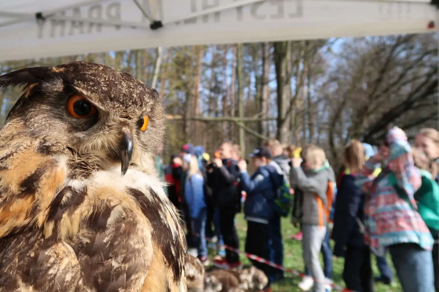 POZVÁNKA: Oslavte Mezinárodní den ptactva v chuchelském zookoutku