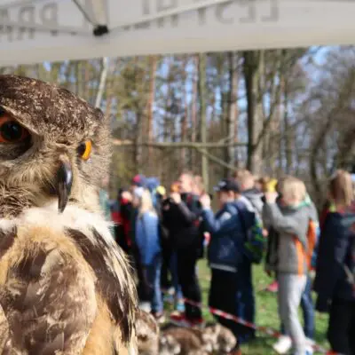 POZVÁNKA: Oslavte Mezinárodní den ptactva v chuchelském zookoutku