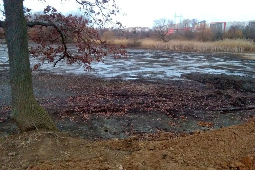Zahájili jsme revitalizaci Milíčovského rybníka