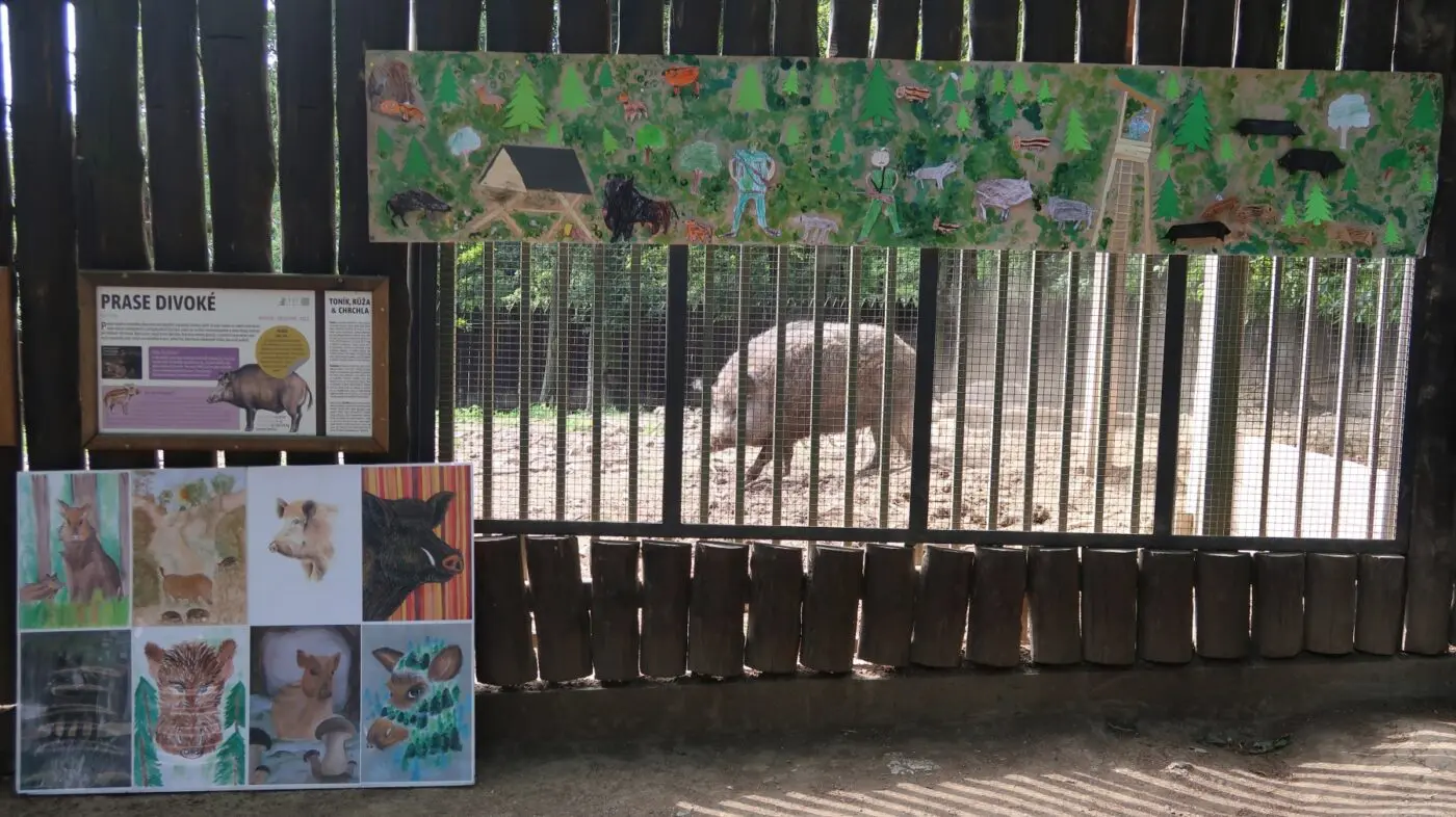 V chuchelském zookoutku jsme vystavili obrázky dalších účastníků soutěže