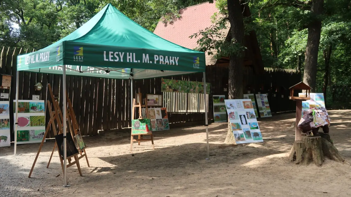 V chuchelském zookoutku jsme vystavili obrázky dalších účastníků soutěže
