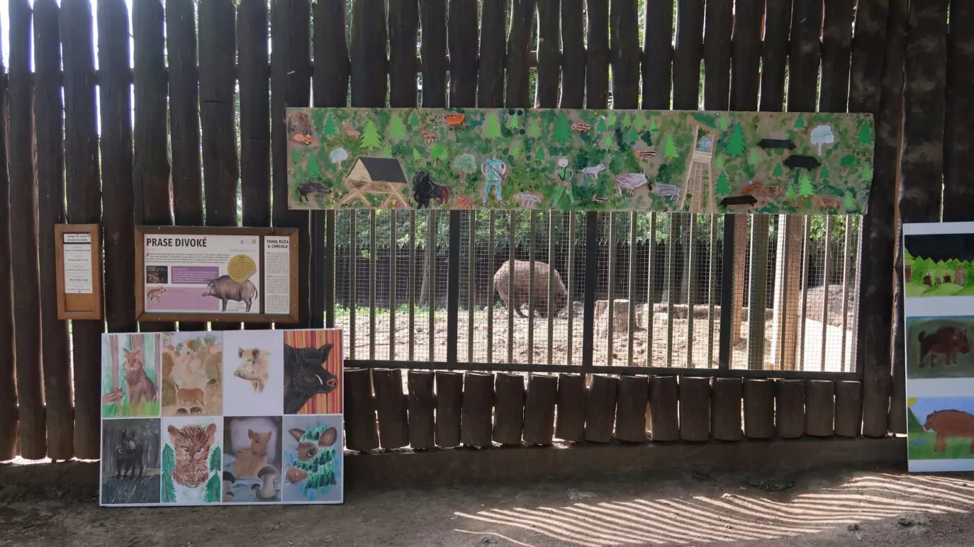 V chuchelském zookoutku jsme vystavili obrázky dalších účastníků soutěže