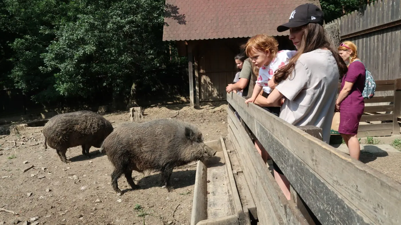 Předání cen v chuchelském zookoutku