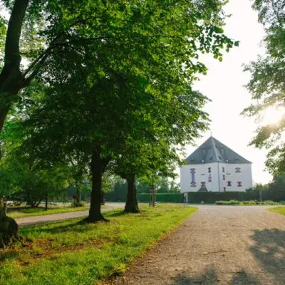 V listopadu odstraníme 11 nemocných stromů z obory Hvězda